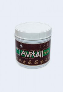 Коктейль Avitall Active (Шоколадный вечерний)